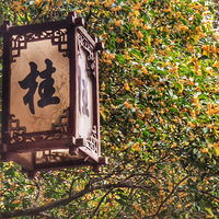 ��������¤