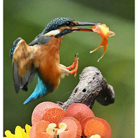 �Ժ���Ĵ���