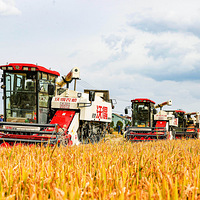 ������Ұ�ġ���е���š�������ʶ������