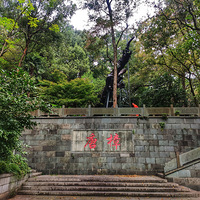 Ѱ������