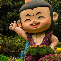 ��չ�ĺ�«�޺����ǵ�үү