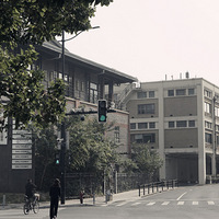 ��Ӱ����2511 �̲�����������