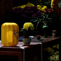 ��Ȫ��չ��