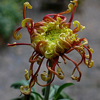 2025ֲ��԰�����Ǿջ���Ʒչ���־ջ���Ʒ