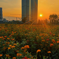 �����µĻ���