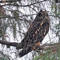 ��ɽ�ᱱ���Ҷ����ص㱣������̶��^