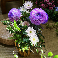 �����;�