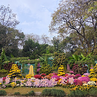 ���ǻ���ƫ���գ��˻��������޻�