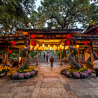 2025��չ�ֻ᳡������������ʷ�����������˺� ������������