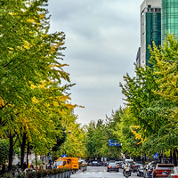 ����űߵ����ݽ����ߵ��������ѿ�ʼ���ˡ�