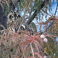 ��ɽ�ᱱ���������еĶ̶��^