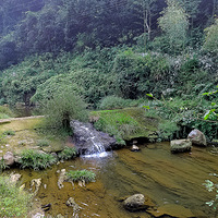 ǧ������Ļ�԰