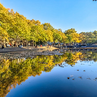 ӿ����޻�����������������һƬ��ƣ��������ԡ�