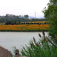 ���ĺ���