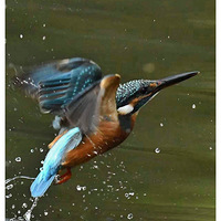 ����׮�˵Ĵ���