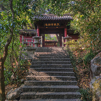 ����������