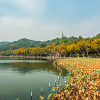 ������ɫ