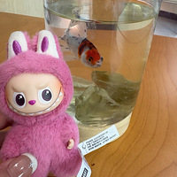 ��ð��������