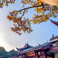 ���������ƽ�����¾�����ɫ�续��