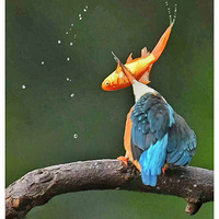 ��ɱ����Ĵ���