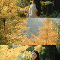 �ٰ�ָ�ϴ����