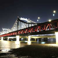 ҹɫ�е���������