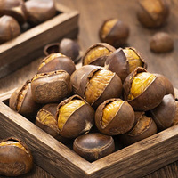 ��Ѫ���ܳ԰����𣿳�����������ٰ�Ҳ��ס��