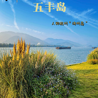 ���ݵ�����С������ᵺ