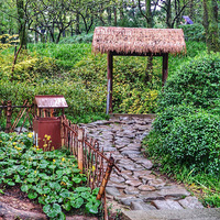 ��������