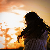 Ϧ���µ�����