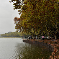 ��ͩ����ϸ�꣬���ƻ裬���εΡ�