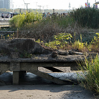 ��Ӱ����2511 ��������������2