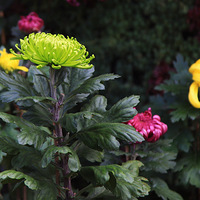 �������