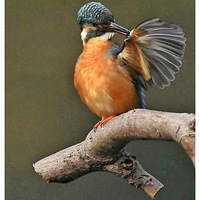 ������ë�Ĵ���