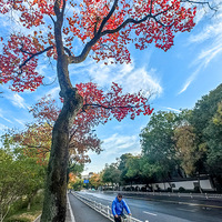 ���m��·������ˡ����ˡ��ͷ�������ɫ���Ǻ�����������ע�ţ�