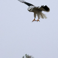 ��ɽ�ᱱ����֦�����\���