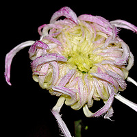 �����;�