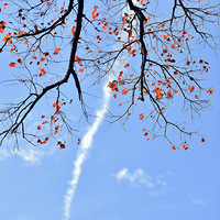 ��ʰ��֮���ꡣ