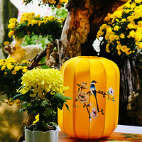 2025���ʮһ��ջ�չ