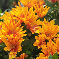 ÿ�����ڶ�������ǲ�һ������