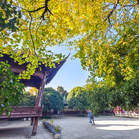 Ǯ�������ӷ��ƣ������������ڵ����ˣ�