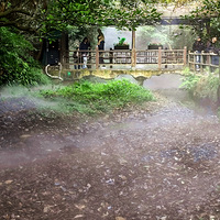 ���ط羰   ��   2    ��