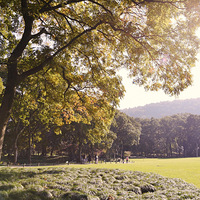 ��Լ�ڶ�����1��