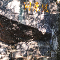 ����Сѩ��������