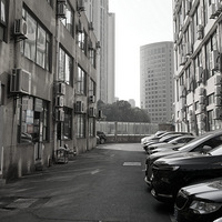 ��Ӱ����2511 �ż����88