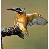 ���ڵĴ���