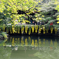 ��԰���հ�˪��