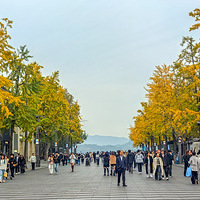 ƽ��·������Ȫ�����ӻ��ˣ���ɫ������������֯��