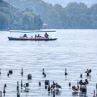 ��������������ԧ���ں���һ��԰ϲ�ּ����ڷɣ�P5�ǰ׸롣