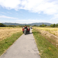 ǧ�������ַ��԰�����죨�ģ�